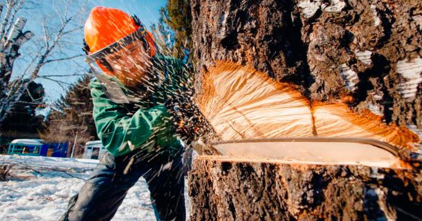 La primavera es la temporada de los accidentes: 3 consejos para gestionar conscientemente tus propios recursos